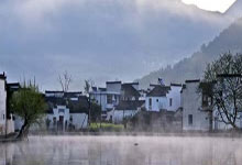 热销茶叶排行